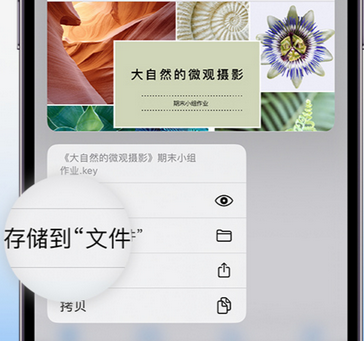 徐州apple维修中心分享iPhone文件应用中存储和找到下载文件