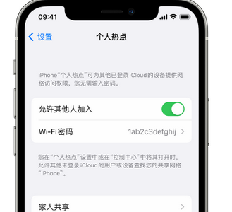 徐州apple服务站点分享iPhone上个人热点丢失了怎么办 