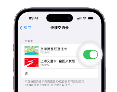 徐州apple维修点分享iPhone上更换Apple Pay快捷交通卡手绘卡面 