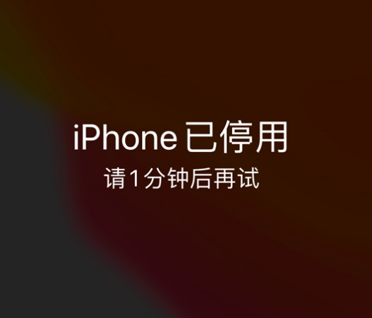 徐州苹果手机维修分享:iPhone 显示“不可用”或“已停用”怎么办？还能保留数据吗？ 