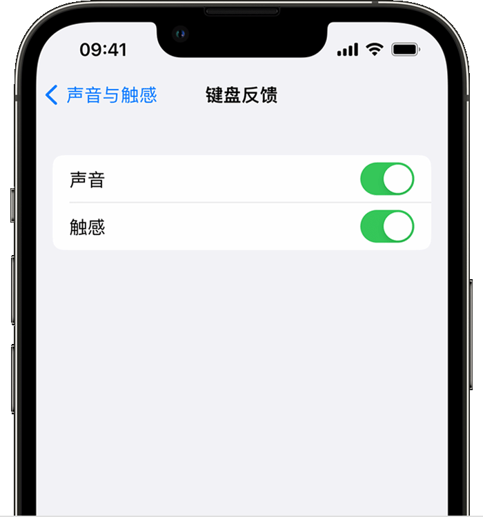 徐州苹果14维修店分享如何在 iPhone 14 机型中使用触感键盘 