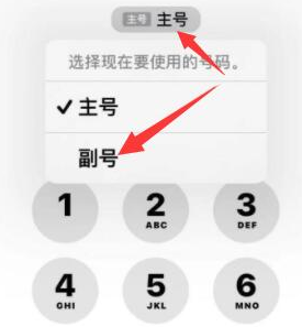 徐州苹果14维修店分享iPhone 14 Pro Max使用副卡打电话的方法 