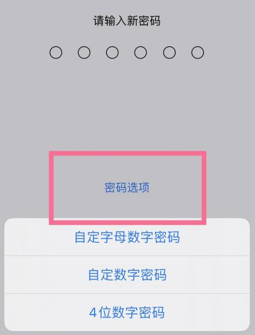 徐州苹果14维修分享iPhone 14plus设置密码的方法 