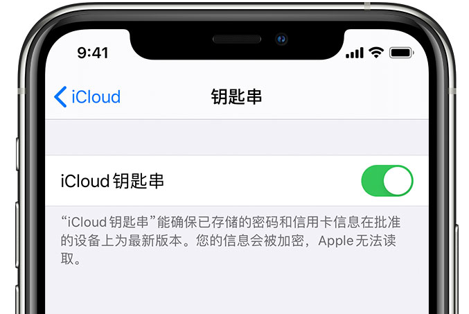 徐州苹果手机维修分享在 iPhone 上开启 iCloud 钥匙串之后会储存哪些信息 