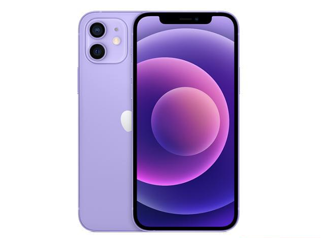 徐州苹果手机维修分享现阶段要不要入手紫色版iPhone12 